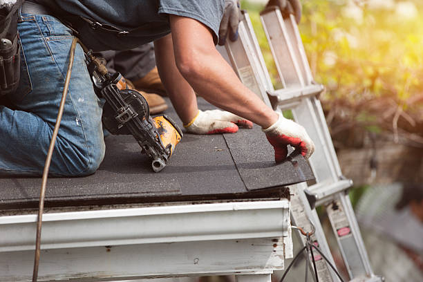 Best Roof Gutter Cleaning  in Scottsville, NY